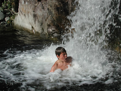 Fjellfiske